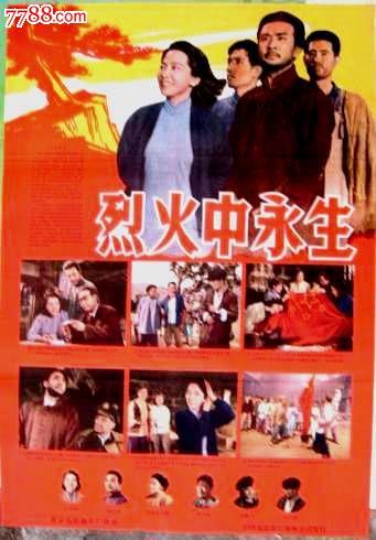 纽约州立大学布法罗分校公共管理文凭证书